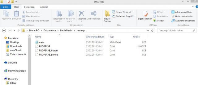 bf4-blackscreen-problemloesung