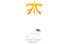 fnaticvsepsilon