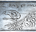 Bird of Prey Dog Tag freigeschaltet!