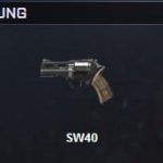SW40