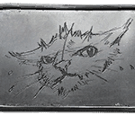 dogtag NS 007