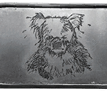 dogtag NS 008