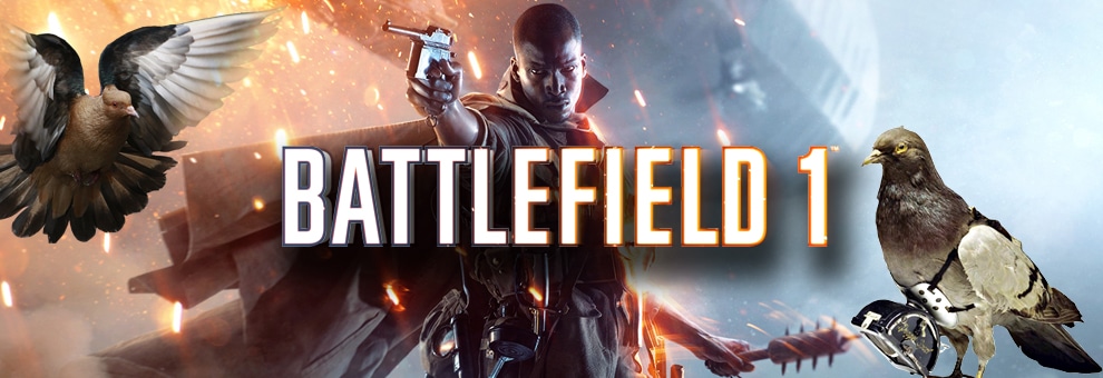 bf1 teasertaube 990 07072016