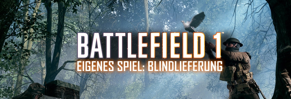 bf1 blindlieferung teaser