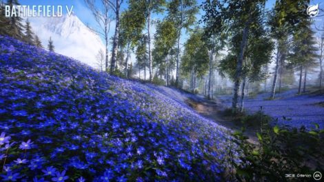 blue forests firestorm teaser