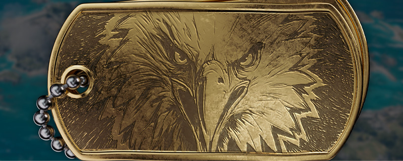 Battlefield 6: So nehmt ihr am "Hunt the Carrier" Discord Event teil und schaltet exklusive Belohnungen frei 2 battlefield 6 22Eagles Stare22 Dog Tag